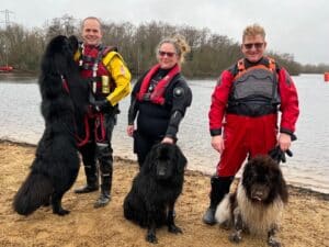 Canine Lifeguards